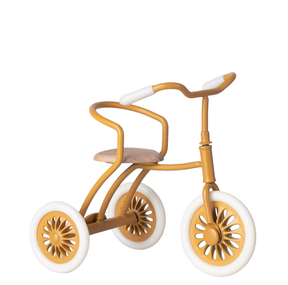 Abri à Tricycle