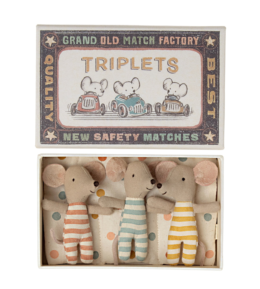 
                  
                    Triplets Baby Mice in Matchbox
                  
                