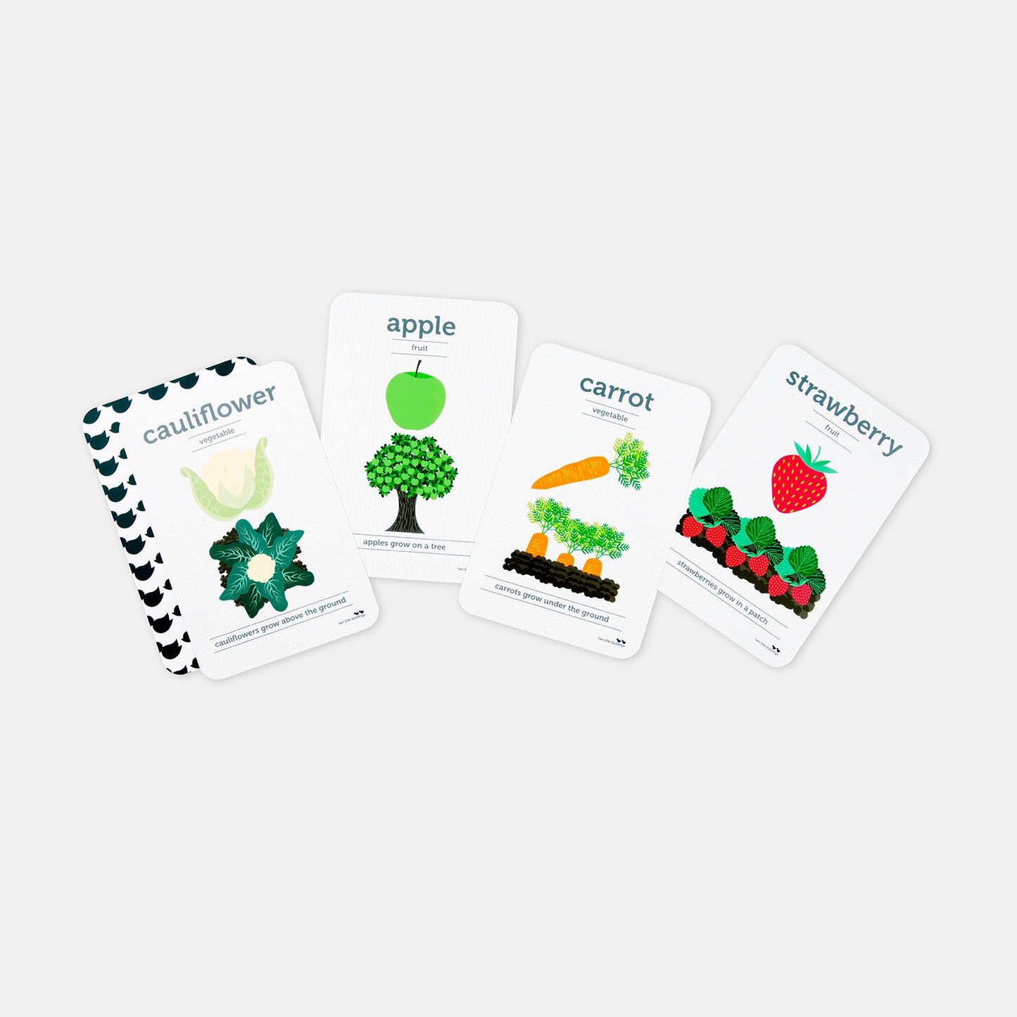 
                  
                    Fruits and Vegetable Flash Cards
                  
                