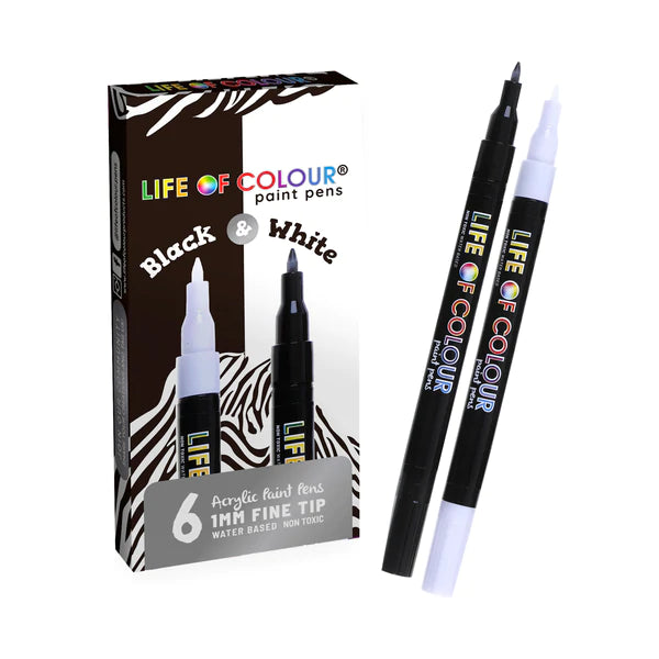 Paint Pens Fine Tip - Black and White