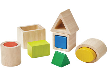 PlanToys - Geo Matching Blocks