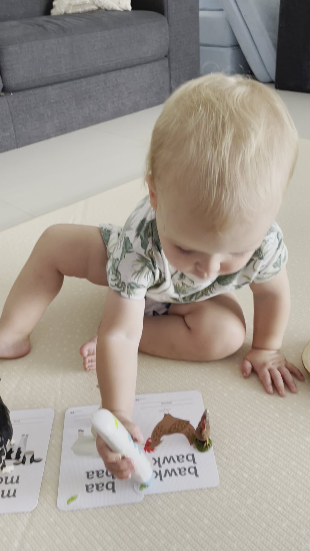 Chameleon Reader Set