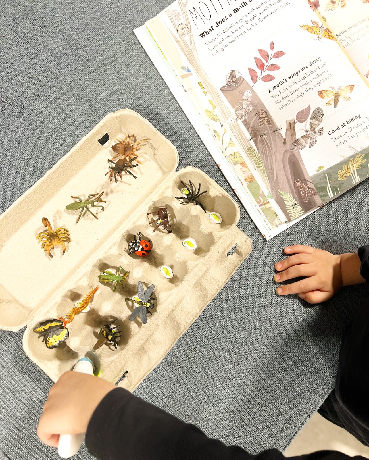 Chameleon Reader Set | Audio Reading System | Little Toy Tribe