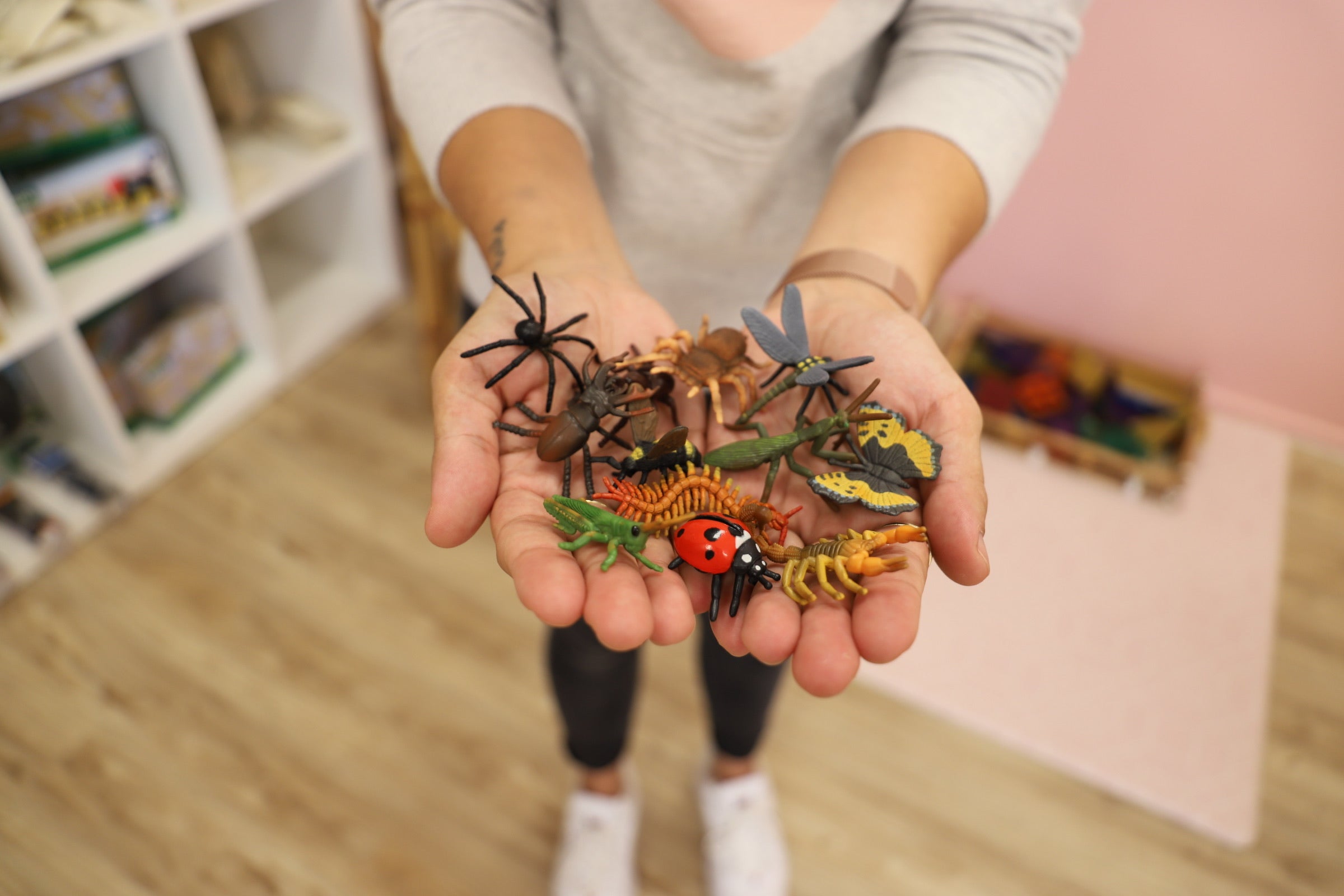 Collection Tube For Insects CollectA Tube - Insects and Spiders – Little Toy Tribe